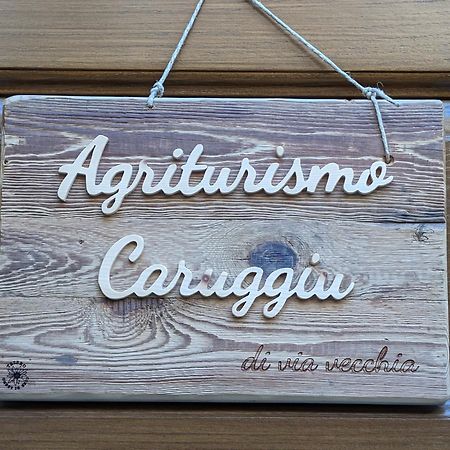 Agriturismo Caruggiu Di Via Vecchia Orco Feglino Eksteriør bilde