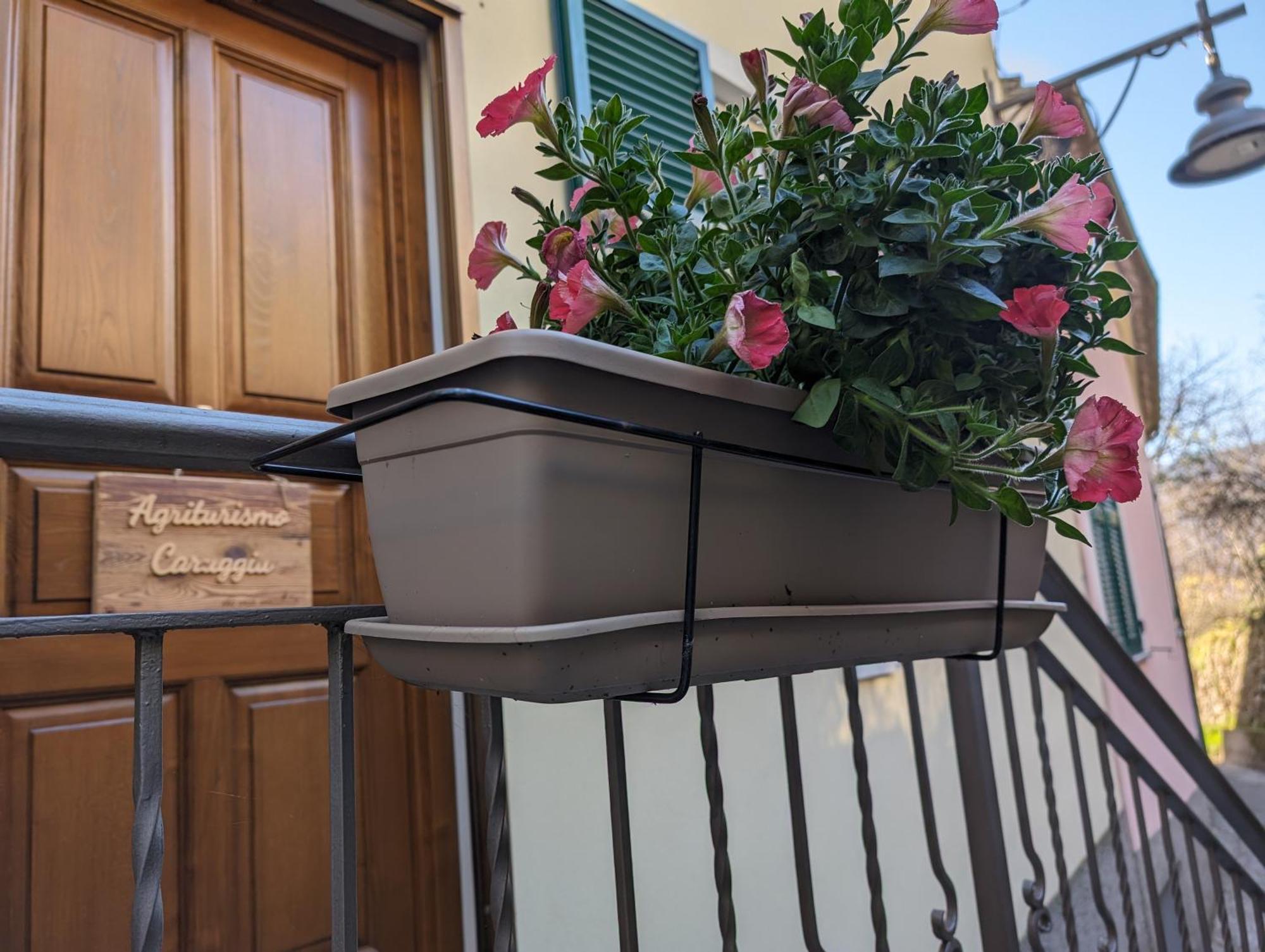 Agriturismo Caruggiu Di Via Vecchia Orco Feglino Eksteriør bilde