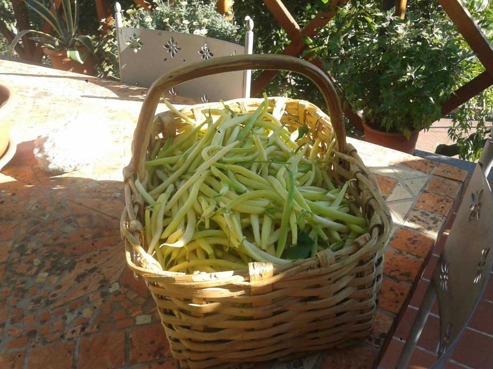 Agriturismo Caruggiu Di Via Vecchia Orco Feglino Eksteriør bilde
